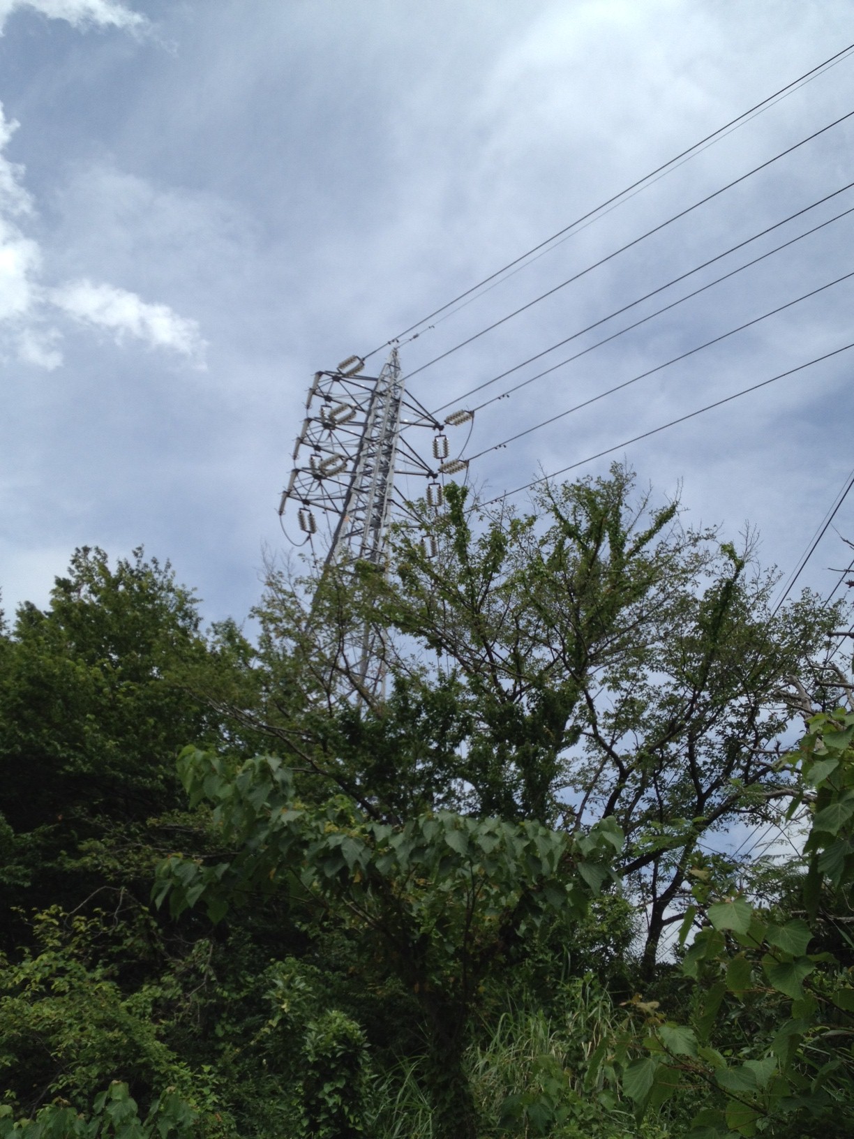 �H�w�@��w�o�X�^�[�~�i����