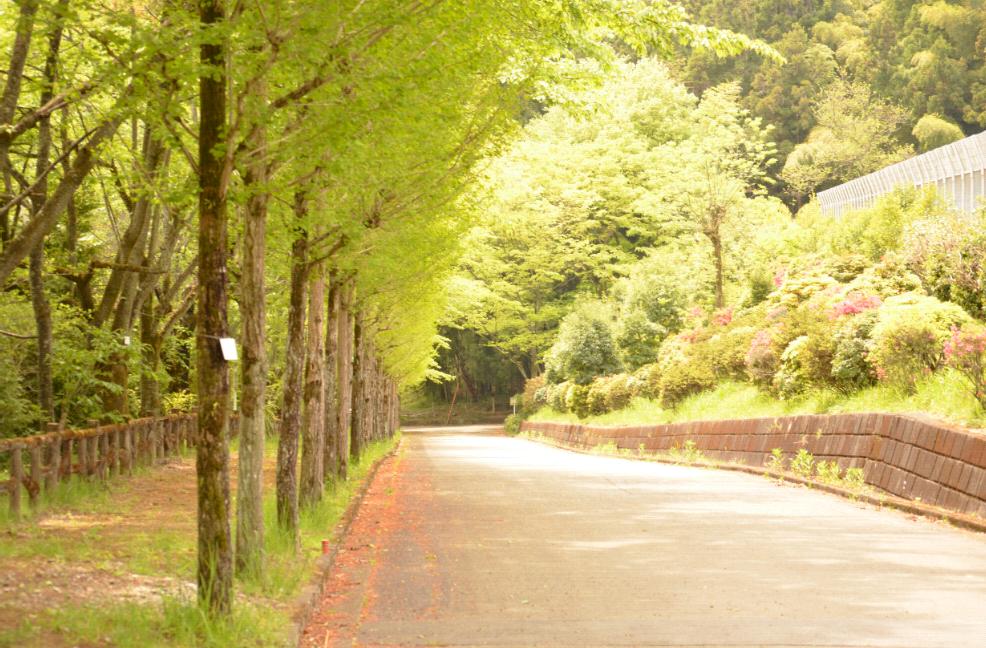 �V�����ϓd���������