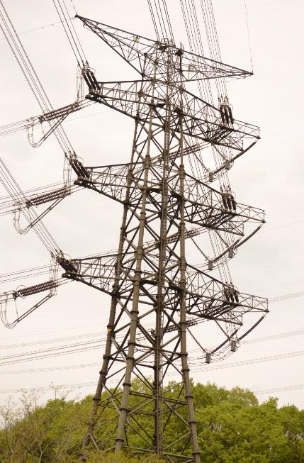 �V���������W�X