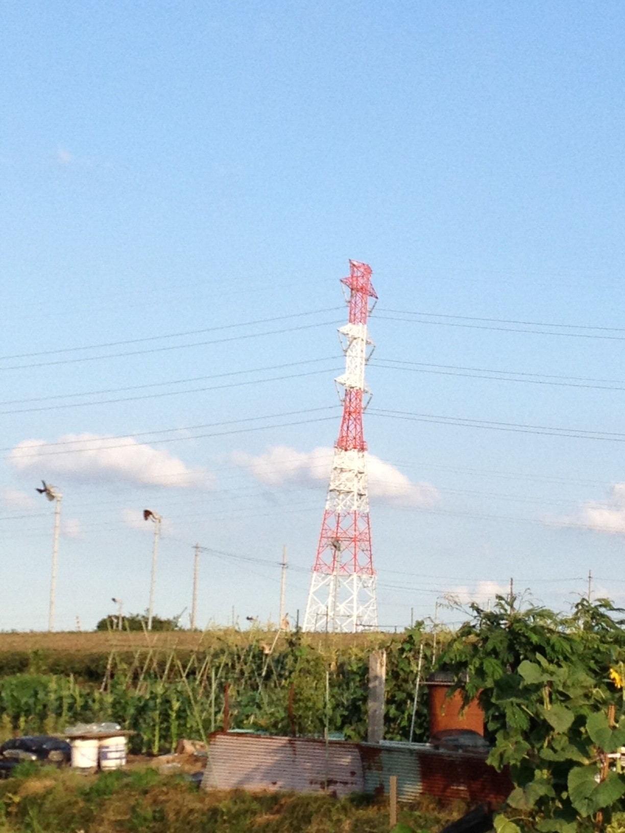 �L����No.9