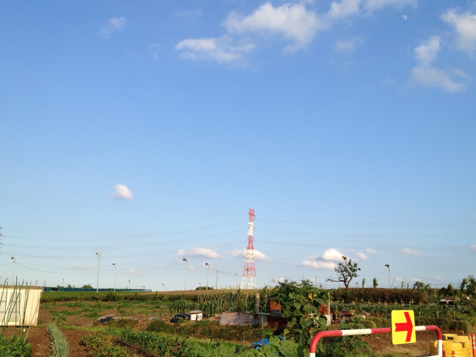 �L����No.9