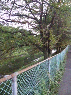 豊岡線No.21の近く