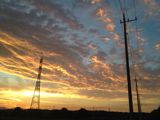 �L����No.11